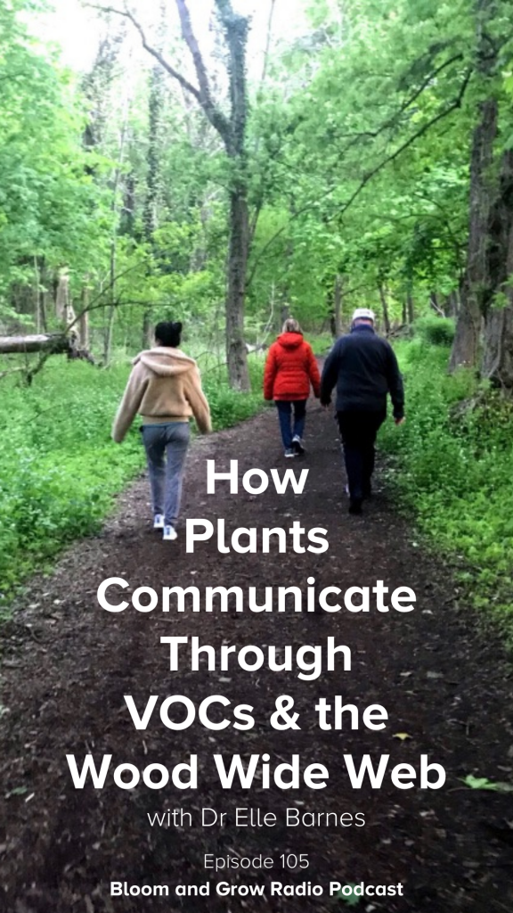 how plants communication with each other through VOCs and the Wood Wide Web 