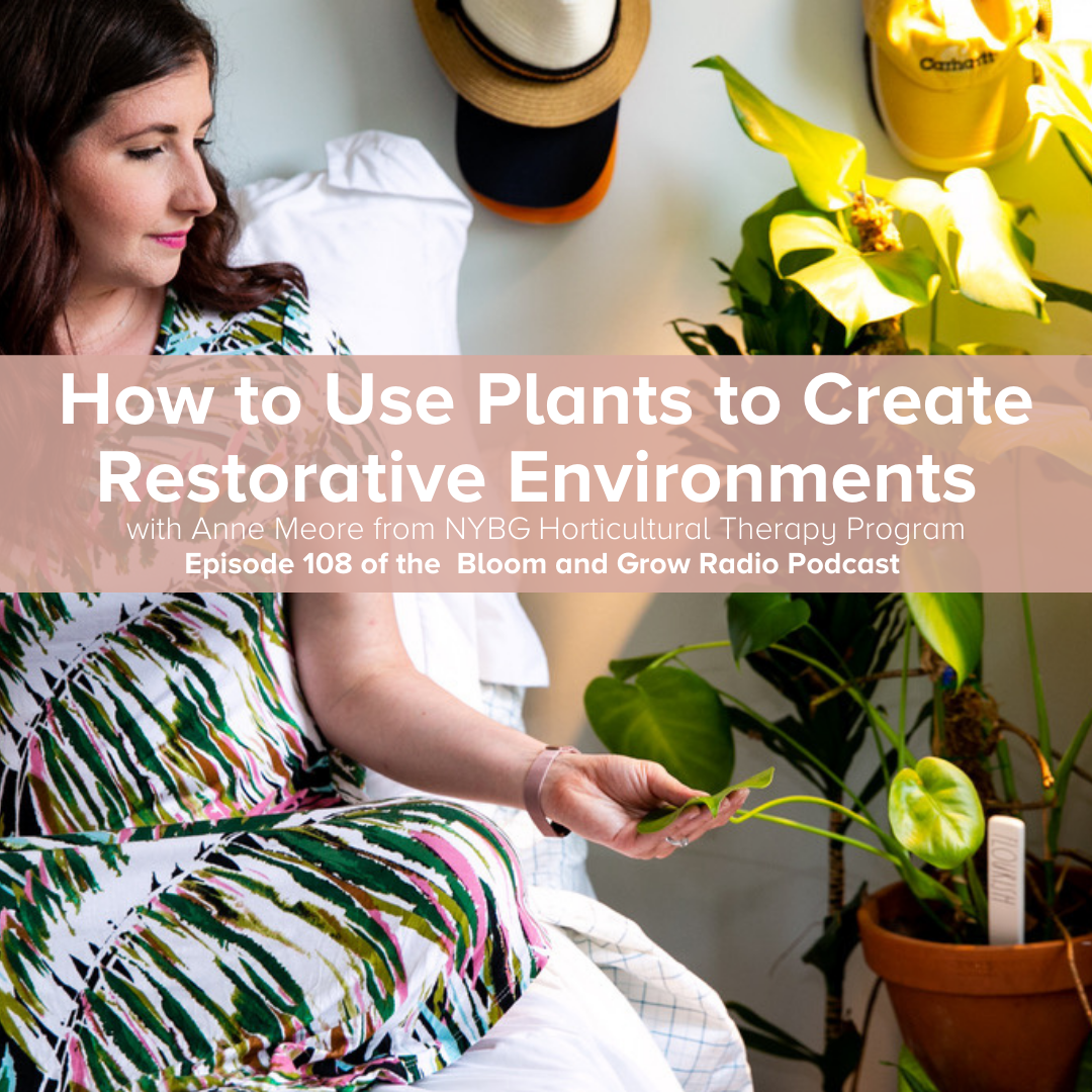 How to Use Plants to Create Restorative Environments