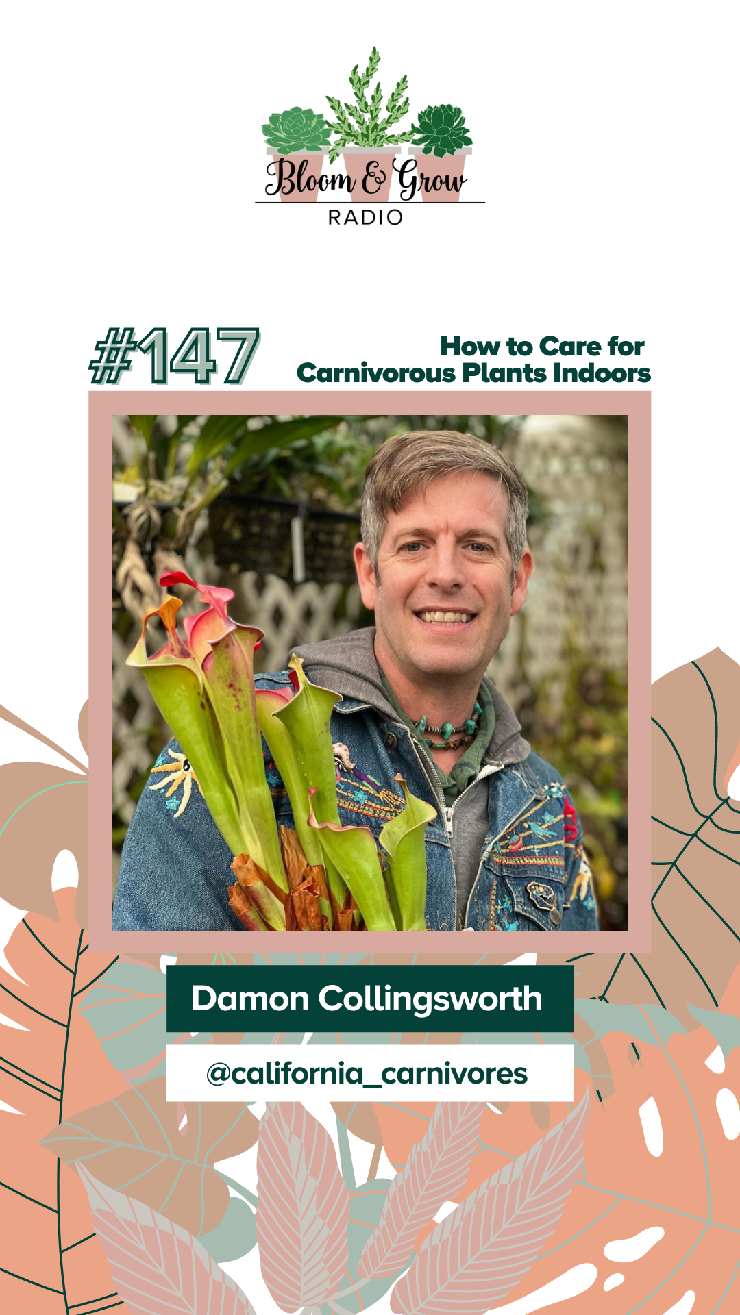How to Care For Carnivorous Plants Indoors with Damon of California ...