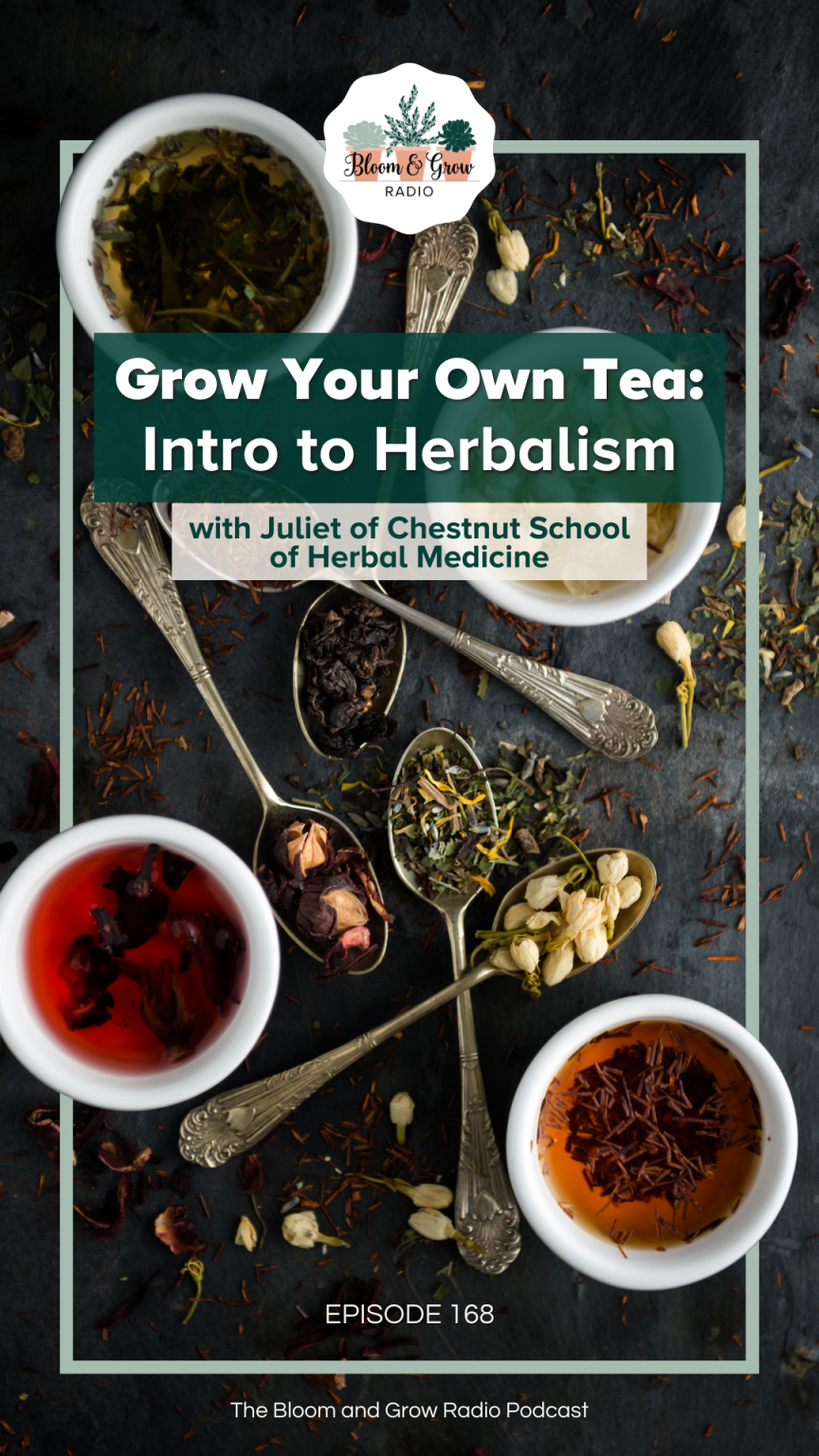 Grow Your Own Tea Intro to Herbalism with Juliet of Chestnut School of