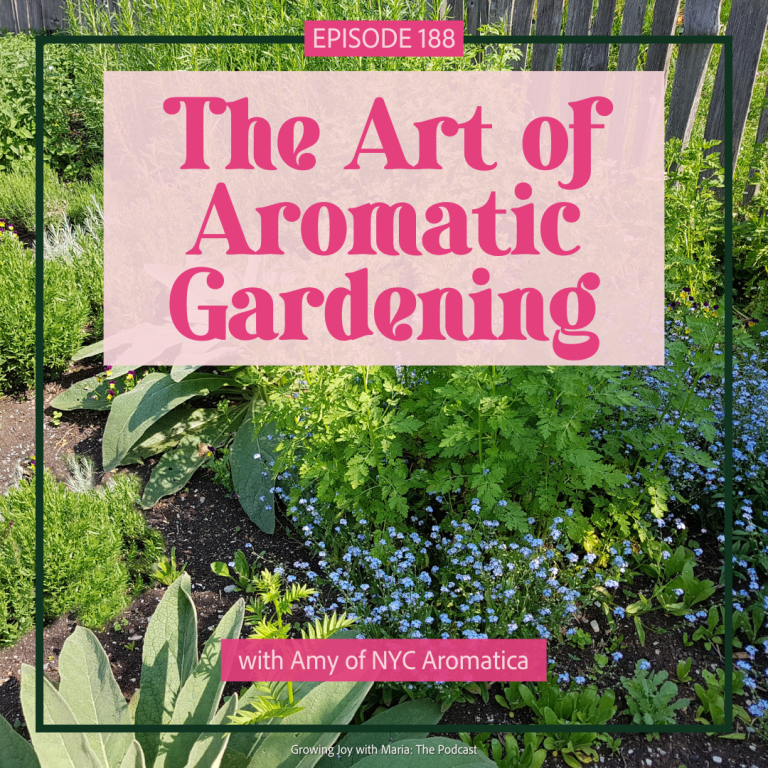 The Art of Aromatic Gardening with Amy of NYC Aromatica, Ep 188 ...