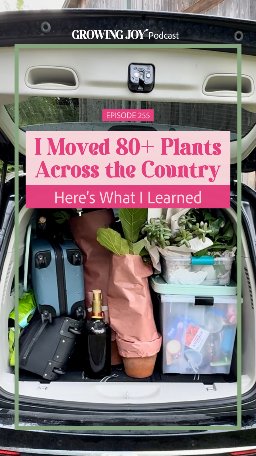 I Moved 80+ Plants Across the Country Here's What I Learned, Ep 255