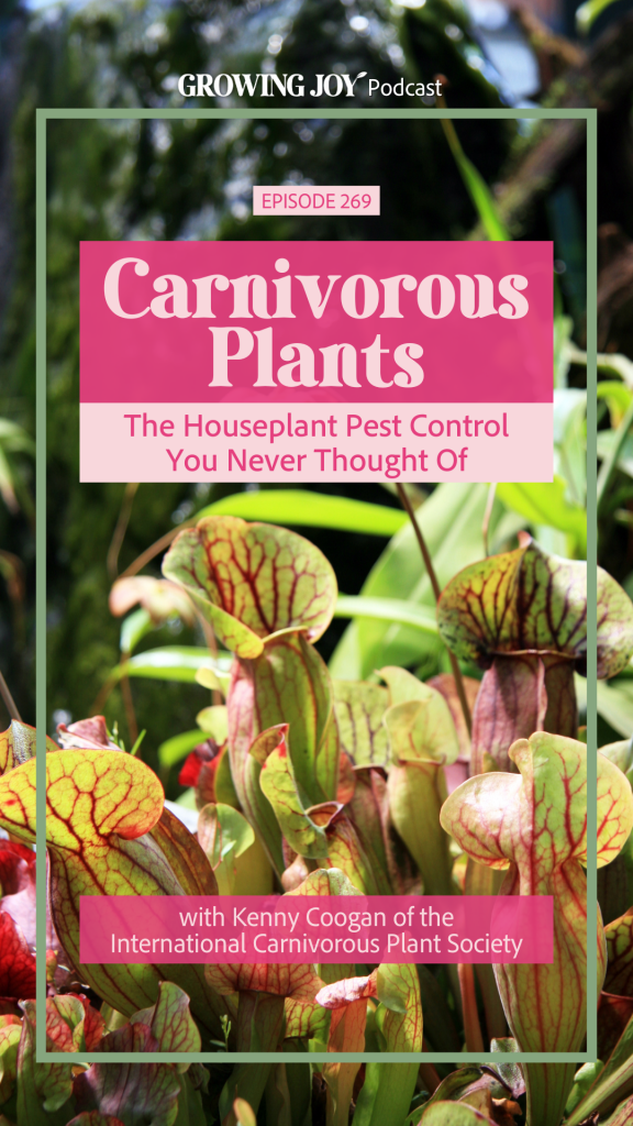 Carnivorous Plants: The Houseplant Pest Control You Never Thought Of