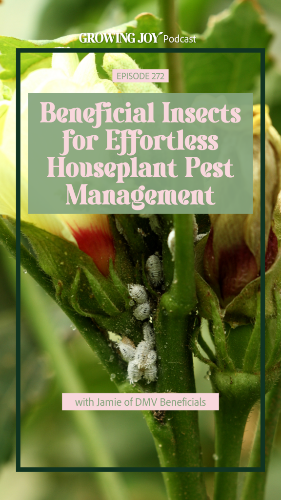 Beneficial Insects For Effortless Houseplant Pest Management Image