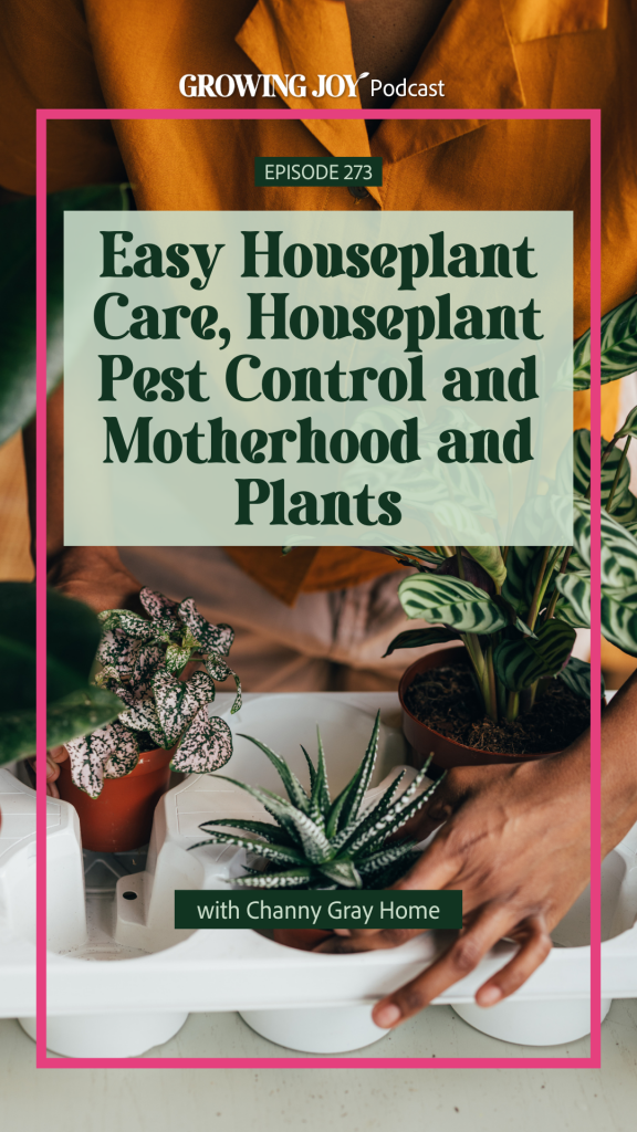 Easy Houseplant Care, Houseplant Pest Control, and Motherhood and Plants with Channy Gray Home Image